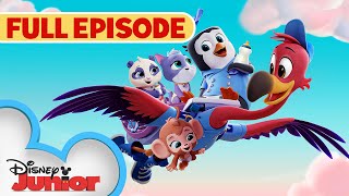 Youve Gotta Be Kitten Me 🐱Whale Hello There 🐳  S1 E1  Full Episode  TOTS  disneyjr [upl. by Syst]