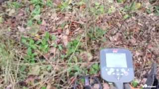 Metal Detecting Tips and Tricks  CTX 3030 [upl. by Legin50]