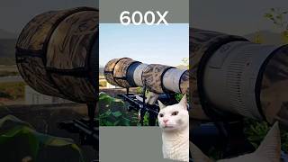 samsung galaxy s24 ultra vs Nikon Coolpix P950  zoom test [upl. by Nahsaj]