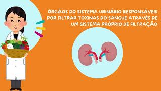 Orientações com a nutri sobre a doença renal crônica [upl. by Solita145]