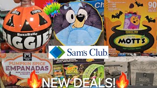 SAMS CLUB CHRISTMAS ARRIVAL PUMPKIN SEASON IS HERE WALKTHROUGH 2024 [upl. by Kirsten]