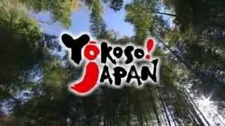 Japan Tourism  Yokoso Soulful Japan [upl. by Ettezoj864]