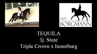 TEQUILA  Hof Borgmann  Juni 2022 [upl. by Arbmat649]