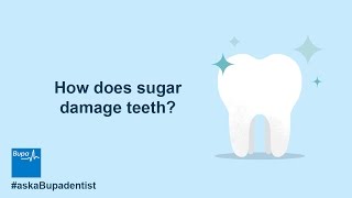 How does sugar damage teeth  Bupa Health [upl. by Lonni]