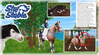 Lasst uns über die GotlandPonys reden😳🚨 Spoiler SSO 🐎 Emily Stonepot [upl. by Sergius]