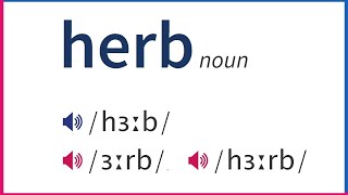 How To Pronounce HERB In British And American English [upl. by Atikat92]