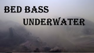 Underwater Bass Video  Molders Fishing Preserve NJ [upl. by Volkan]