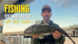 Fishing the Houghton Highway Bridge between Brisbane and Redcliffe [upl. by Ecirp]