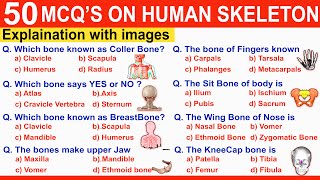 MCQ on Human Skeleton System  MCQS Quiz on Skeleton  Bones  Mcq on skeletal system aiims [upl. by Soren]