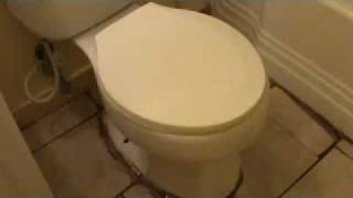 How to install a toilet what quotnotquot to do [upl. by Neve]