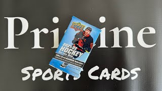 202122 Upper Deck Series 1 Hockey Pack Opening [upl. by Suciram]