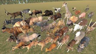 EvenToed Ungulates Animal Speed Comparison in 3D Animation  Realistic World Data [upl. by Eerehc]