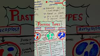 plastidsbiology cellbiology scienceeducation [upl. by Dearden]