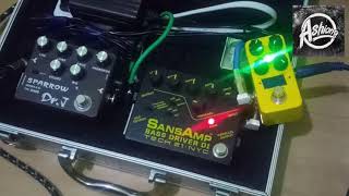 Tech 21 SansAmp Bass Driver DI and Joyo Sparrow Dr J [upl. by Keemahs]