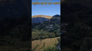 ल साथीहरू धान काट्ने बेला भयो गाउ फर्किनुहोला👋🌾🌾🌾👋 [upl. by Arob]