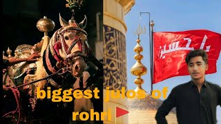 biggest julos of rohri  9 Moharram Godzillayt 🚩 [upl. by Anehsat]