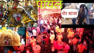 शेर बाजा Payal dhumal GONDIA तबाही शेर धुन और डांस 9960096024 [upl. by Anertal]