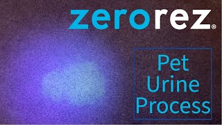 Zerorez® Pet Treatment Process [upl. by Dennie]