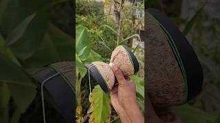 தேங்கா ஓடு வச்சு இப்படி செஞ்சு பாருங்க🔥 Coconut Shell Life Hacks🥥 [upl. by Ally]