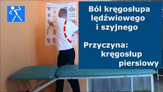 Kręgosłup piersiowy  Ćwiczenia rozciągające i wpływ na cały kręgosłup I 🇵🇱 🇪🇺 [upl. by Stichter]