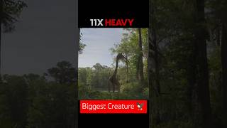 ⚠️The BIGGEST Flying Creature That Ever Existed thegauravthakurshow facts science [upl. by Soneson]