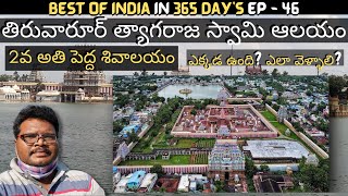 Thiruvarur thyagaraja swamy temple full tour in telugu  Thiruvarur temple information  Tamilnadu [upl. by Erdua]