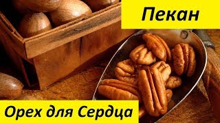 Пекан  Экзотический Орех для Сердца [upl. by Kera673]