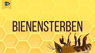 Bienensterben  Schlaumal Doku [upl. by Ule]