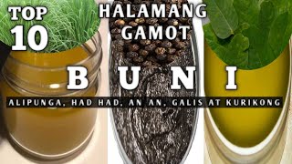 TOP 10 HALAMANG GAMOT PARA SA BUNI AT IBA PANG KATI KATI SA BALAT  MABISANG HALAMANG GAMOT SA BUNI [upl. by Pierrepont257]