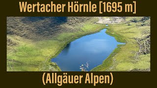 15  Wertacher Hörnle 1695 m  Allgäuer Alpen ￼ [upl. by Nylidnam]