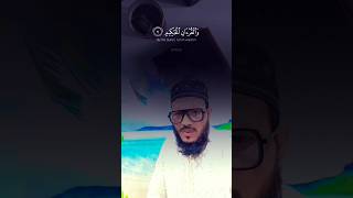 Surah Yaseen  Yasin  Beautiful Recitation [upl. by Oirevas]