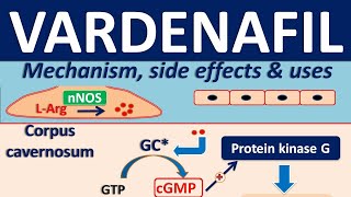 Vardenafil  Mechanism side effects drug interactions and clinical uses [upl. by Nicram875]