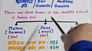 PYQ Series on Science Part 2Ear OssiclesAuditory Ossicles कानातील हाडे Ekakshi MPSC [upl. by Lucia]