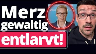 Brisant Alice Weidel lässt Politbombe platzen [upl. by Vokay605]