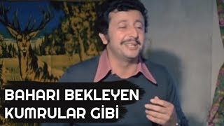 BAHARI BEKLEYEN KUMRULAR GİBİ  Petrol Kralları 1979 [upl. by Bohlen880]