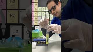 DIY KIWI DNA EXTRACTION EXPERIMENT [upl. by Drawets]