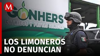 Guadalupe Mora afirma que Los Viagras están detrás de extorsiones a limoneros en Tierra Caliente [upl. by Hellman]