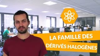 La famille des dérivés halogènes  Physiquechimie  TS  digiSchool [upl. by Animsay]