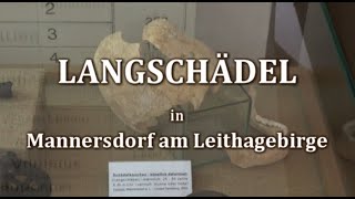 Das Rätsel der LANGSCHÄDEL in Österreich [upl. by Selma]