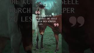 Pferde Sprache surupcommunity tierschutz onlinewebinar lernen pferde pferdezucht surup [upl. by Anerbes]