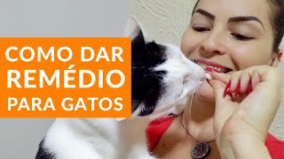 Como dar Comprimido e Remédio para Gatos  Gato é Vida gatoévida [upl. by Bonnell]