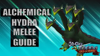 Alchemical Hydra Guide 2022  Melee Guide  OSRS [upl. by Khoury239]