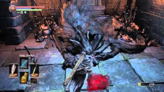 Dark souls 3  Watch dogs of Farron Covenant  Old Wolf of Farron [upl. by Igig]