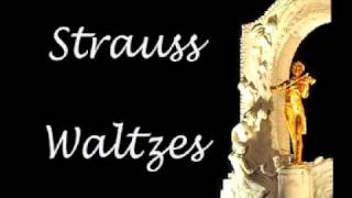 Strauss Waltzes Medley [upl. by Yrellih]