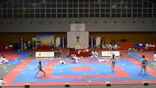 KUKKIWON TAEKWONDO PERFORMANCE DEMONSTRATION 25112017 [upl. by Cid795]