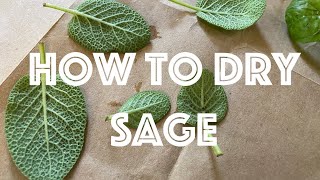 How to Dry Sage [upl. by Ydnil]