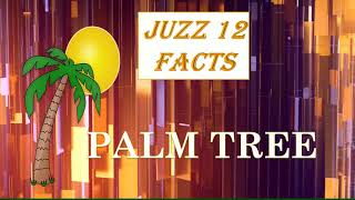 Palm tree  Juzz 12 facts for learning [upl. by Waddell846]