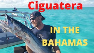 Ciguatera Poison In The Bahamas A WARNING [upl. by Yrocej]