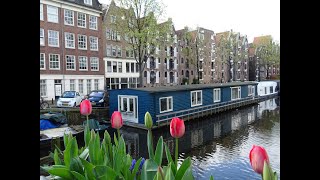 Tulpentijd 2024 Tulpen uit Amsterdam  Annie Palmen [upl. by Ilocin]