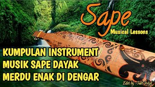 SAPE INSTRUMENT MUSIK DAYAK MERDU ENAK DI DENGAR [upl. by Abehsat146]